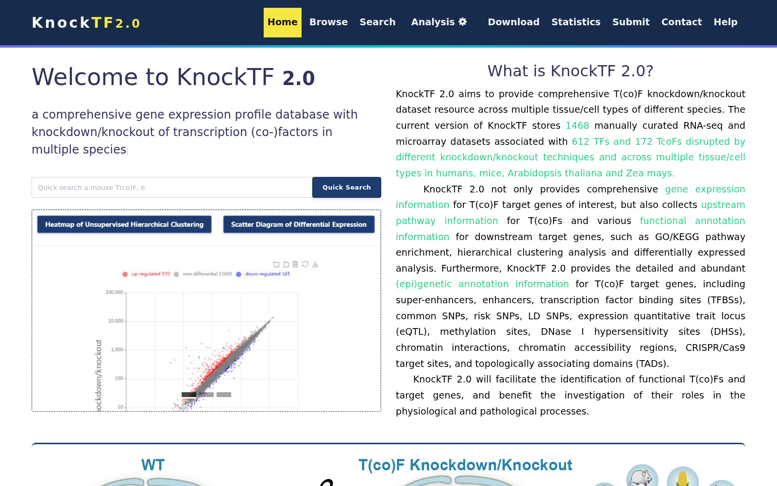 KnockTF 数据集图片