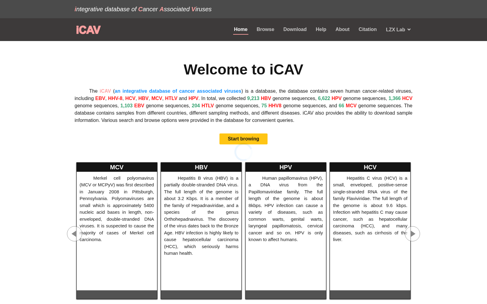 iCAV 数据集图片