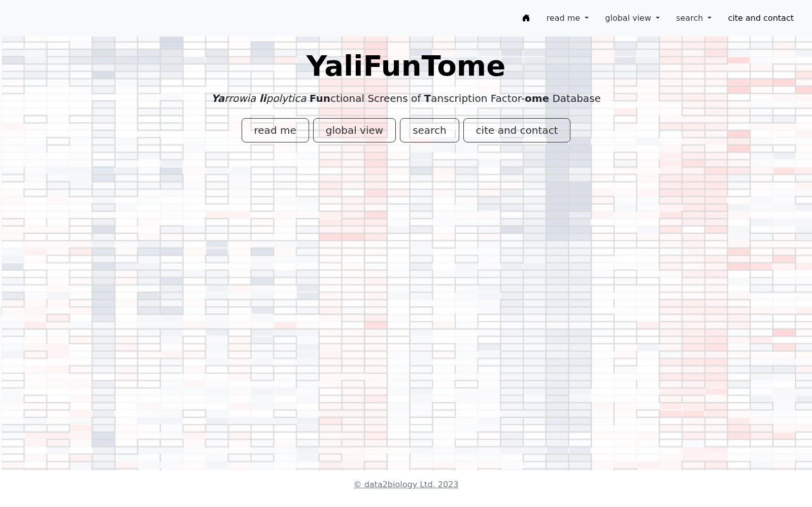 YaliFunTome 数据集图片