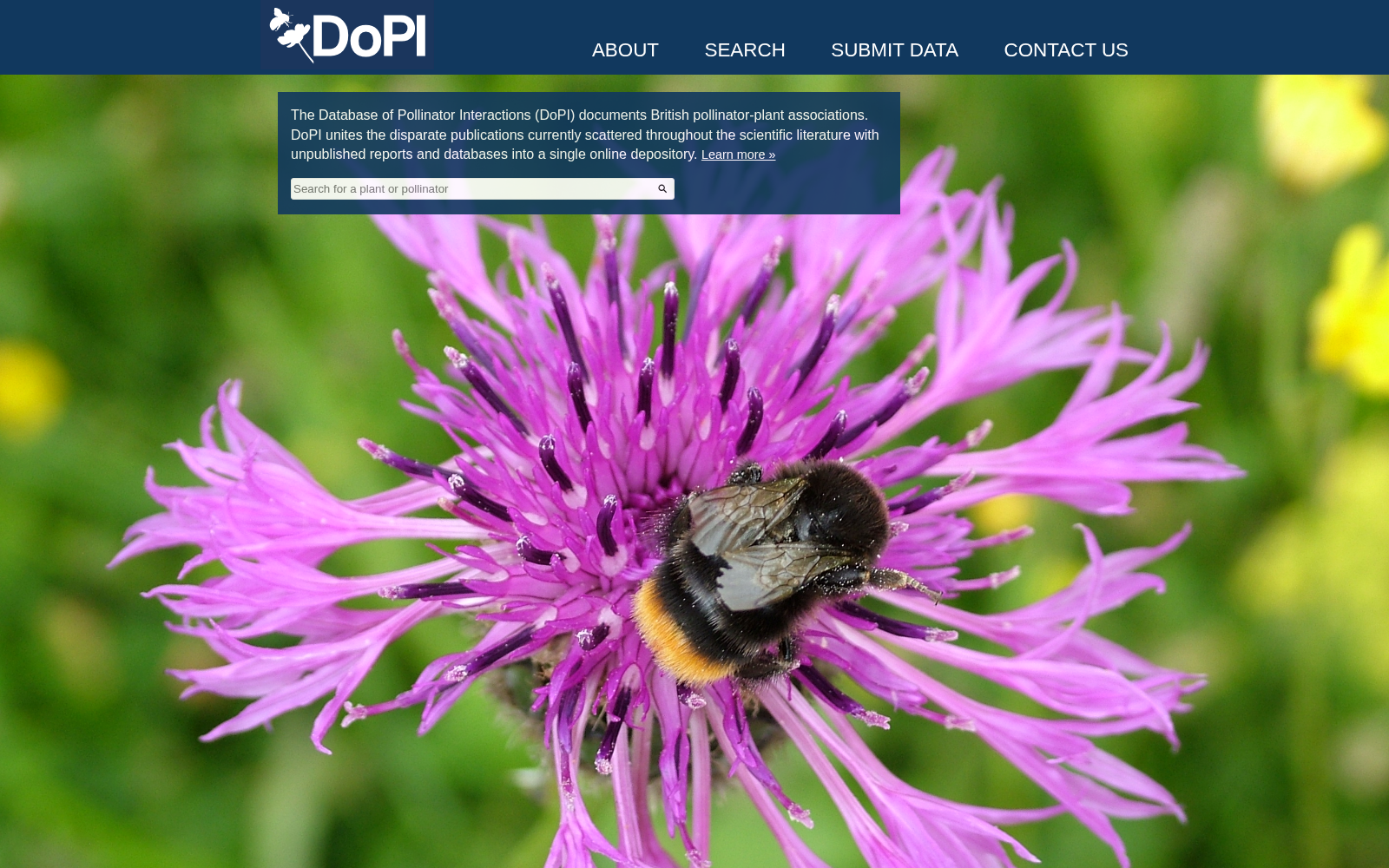 DoPI 数据集图片