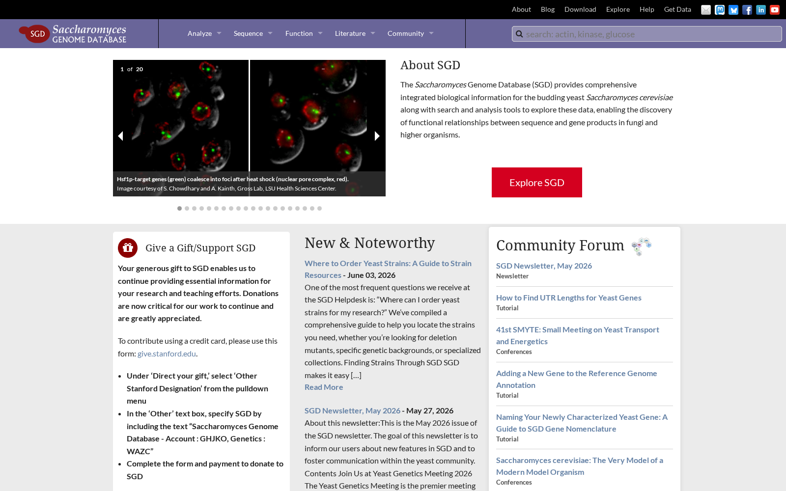 Saccharomyces Genome Database 数据集图片