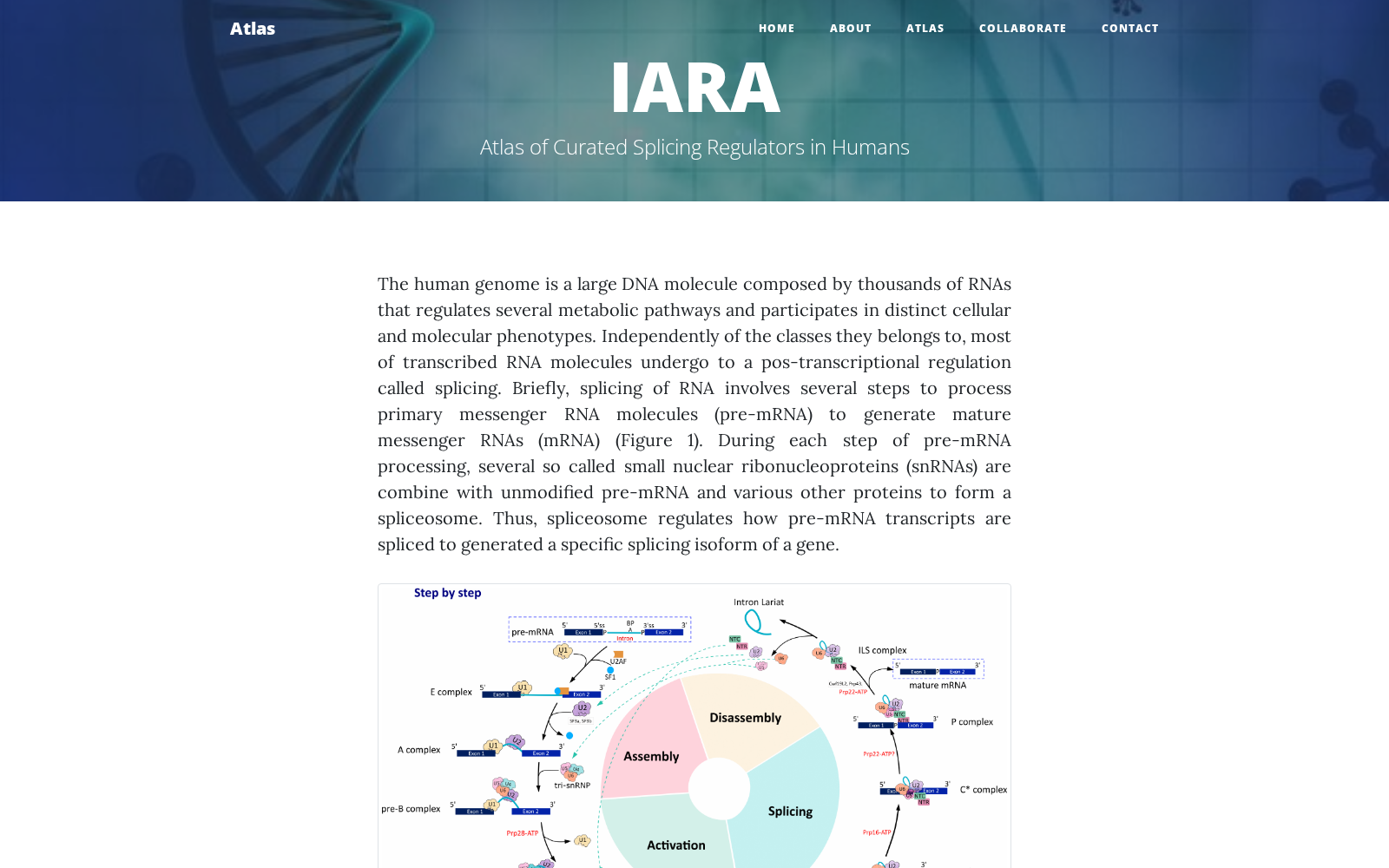 IARA 数据集图片