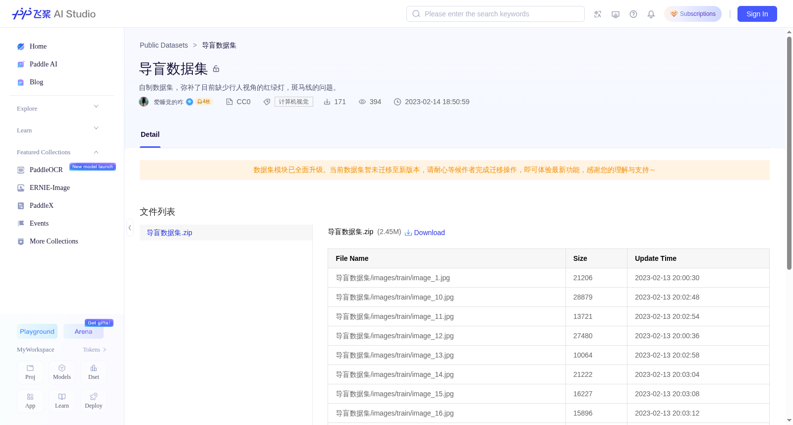 导盲数据集 数据集图片