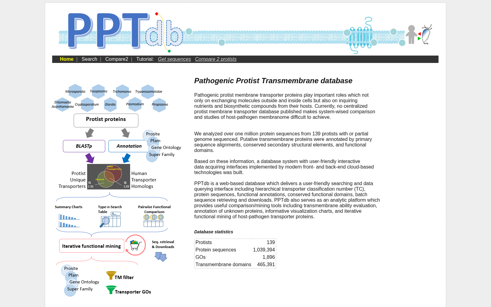 PPTdb 数据集图片