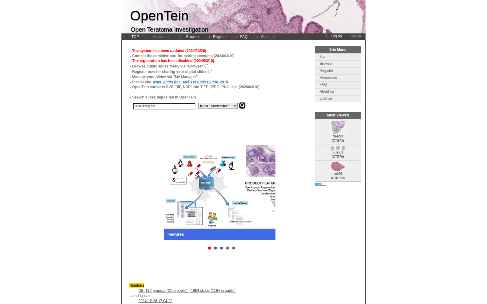 OpenTein 数据集图片