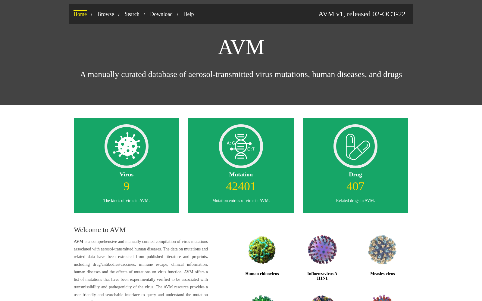 AVM 数据集图片