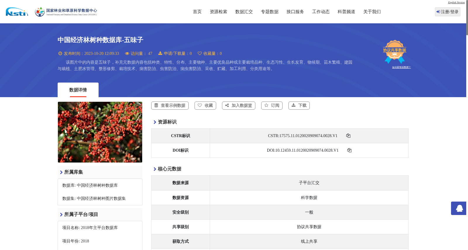 main_image_url