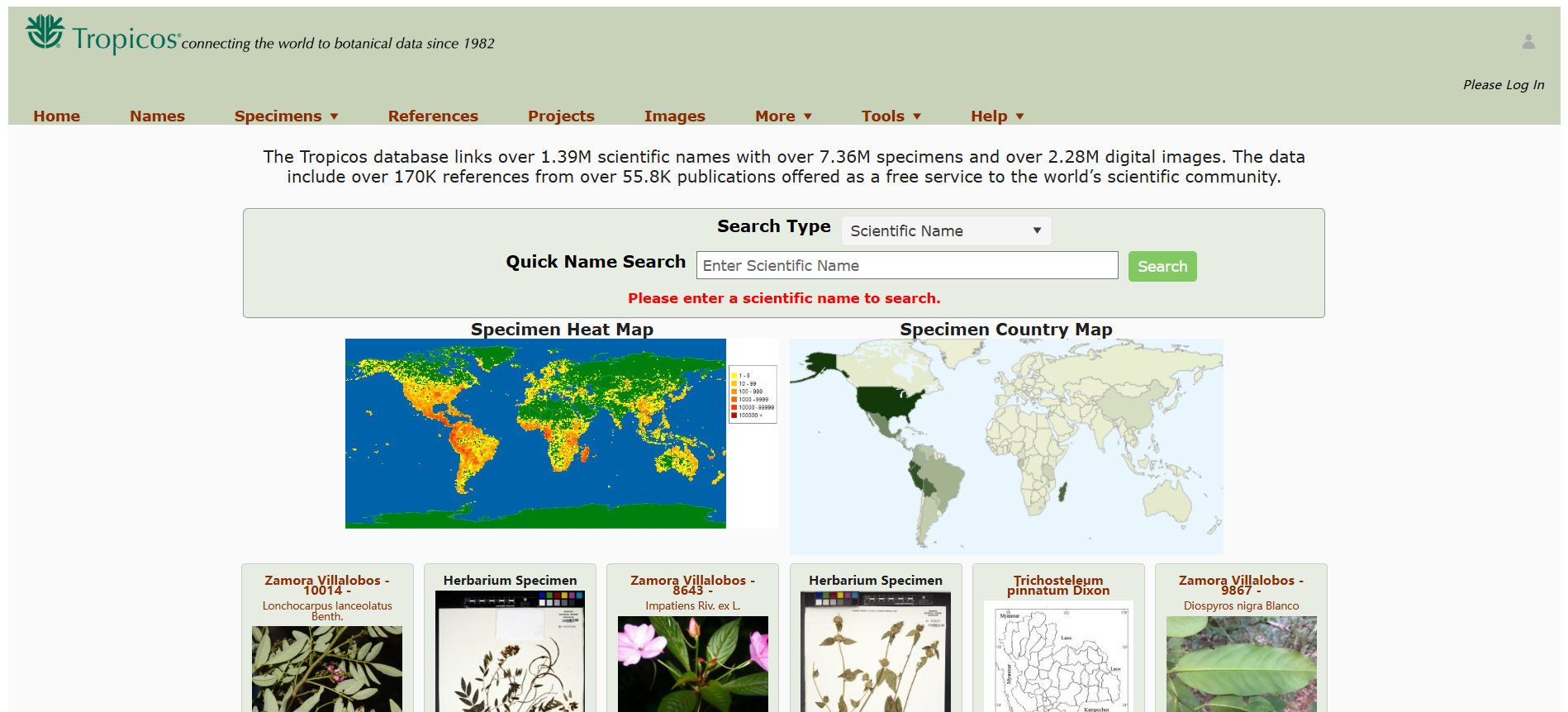 main_image_url