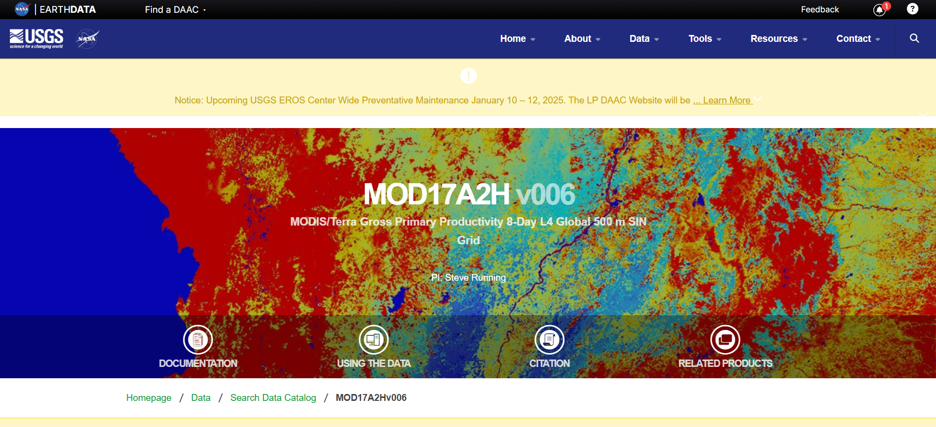 main_image_url