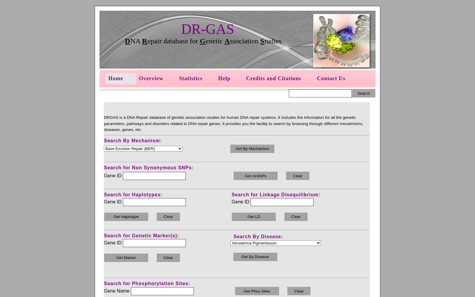 DR-GAS 数据集图片
