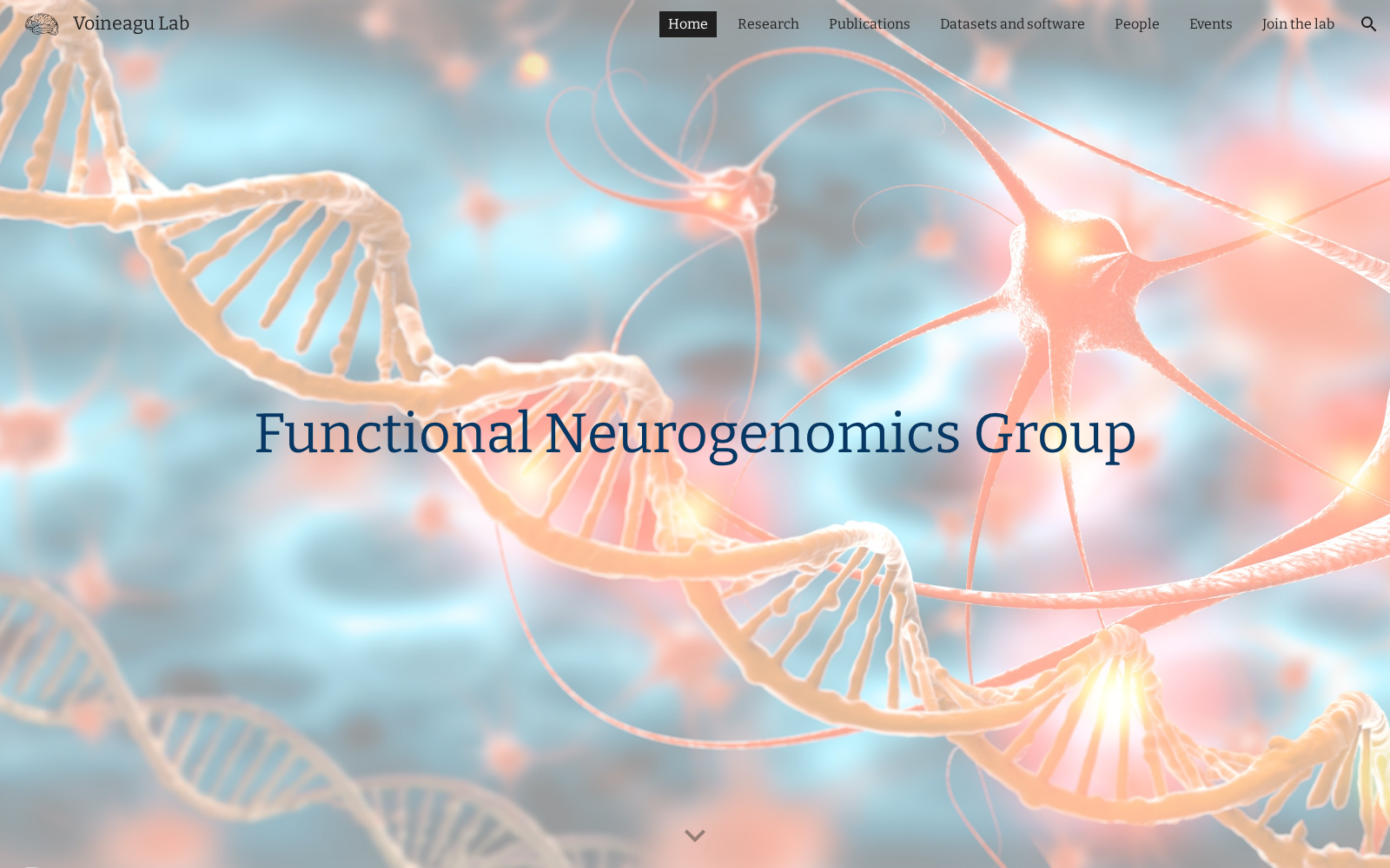 The Landscape of Circular RNA Expression in the Human Brain 数据集图片