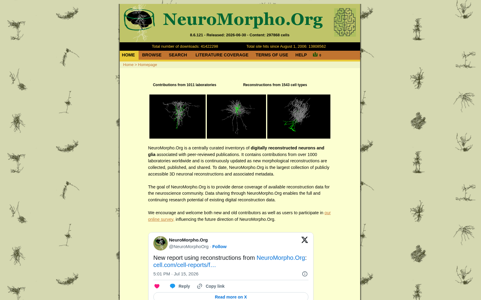 NeuroMorpho.Org 数据集图片