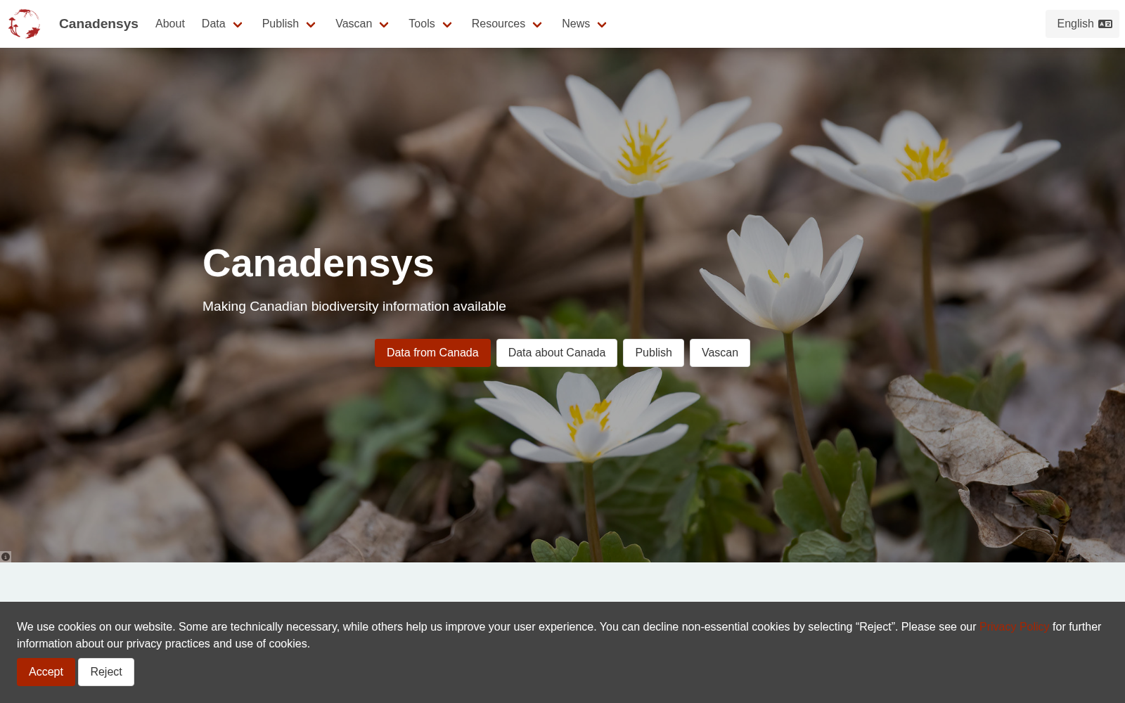 Canadensys 数据集图片