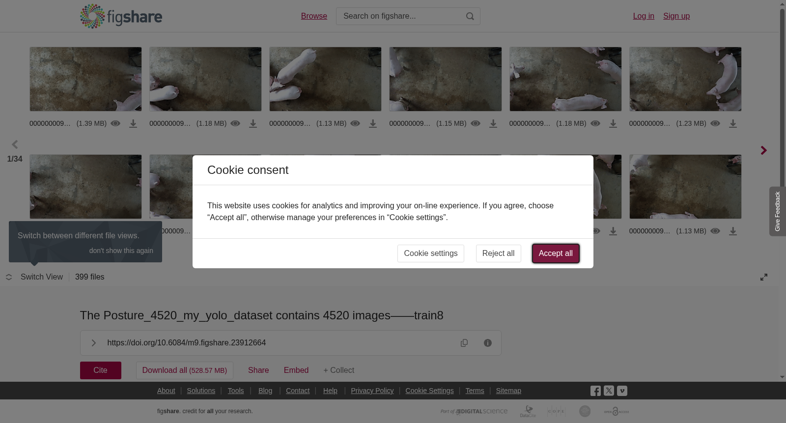 main_image_url