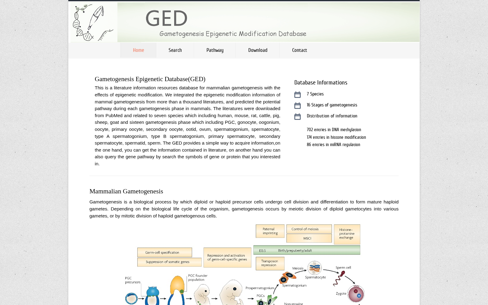 GED 数据集图片