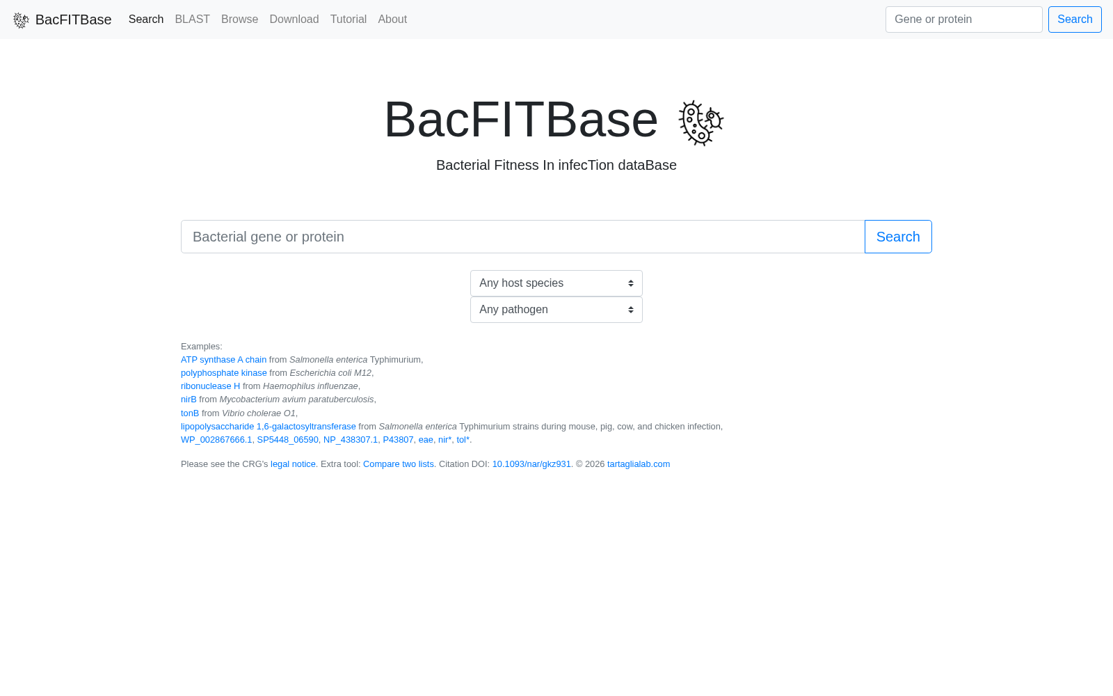 BacFITBase 数据集图片