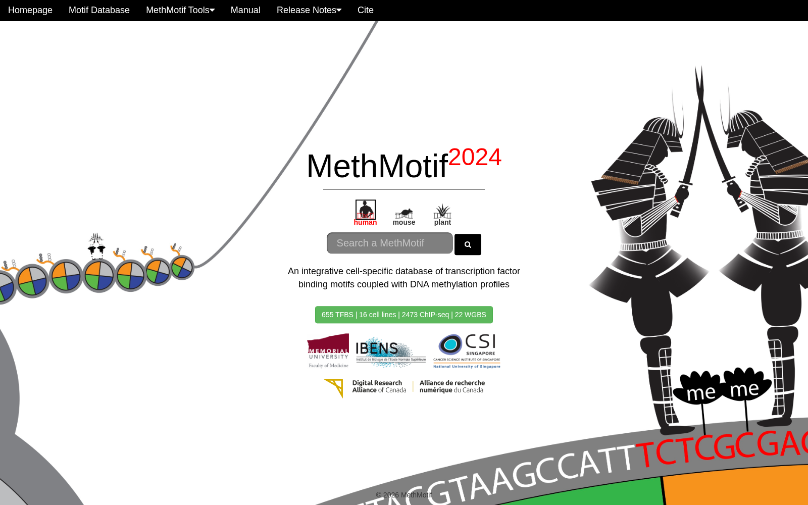 MethMotif 数据集图片
