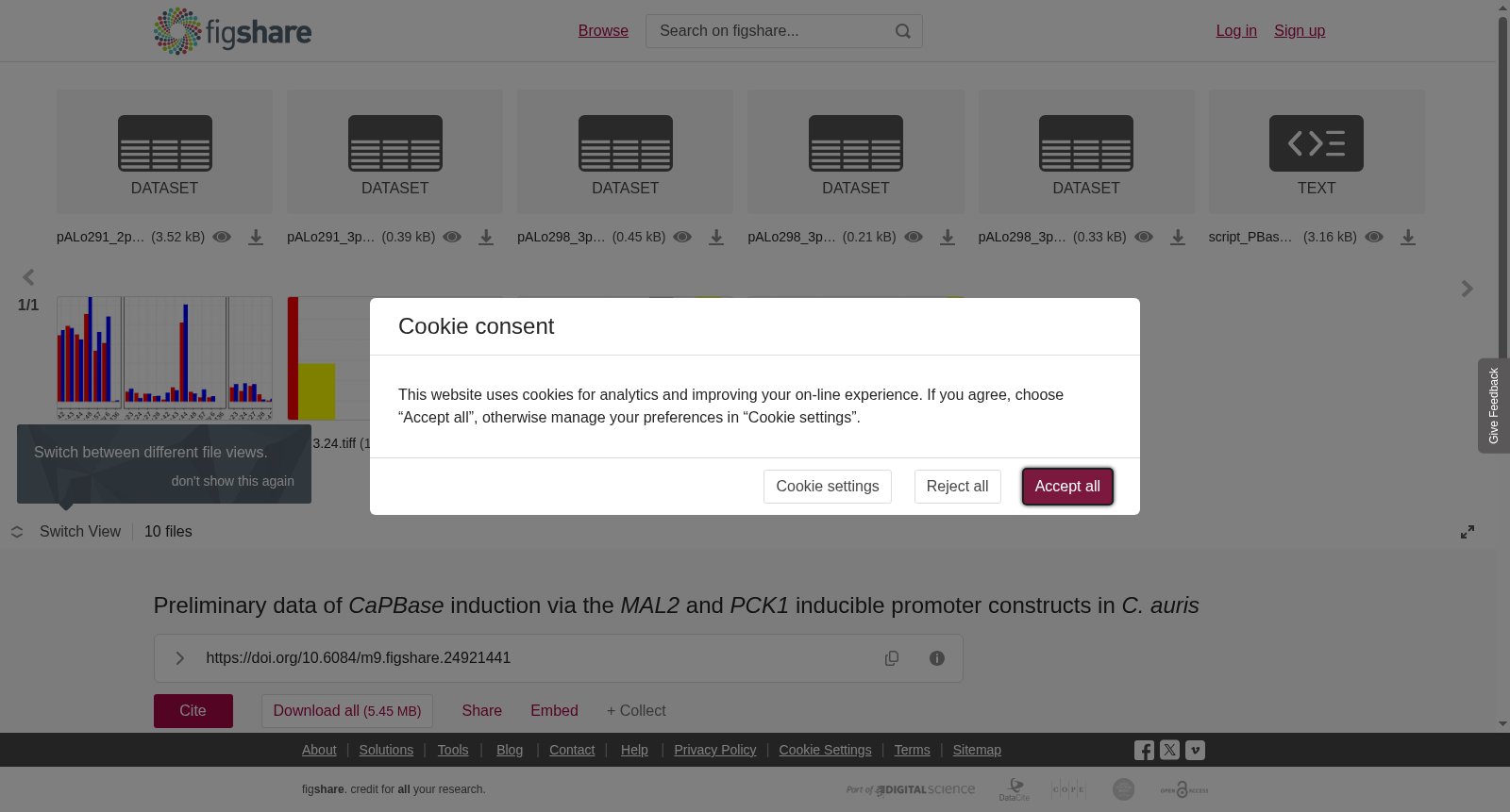 Preliminary data of <i>CaPBase </i>induction via the <i>MAL2 </i>and <i>PCK1 </i>inducible promoter constructs in <i>C. auris</i> 数据集图片