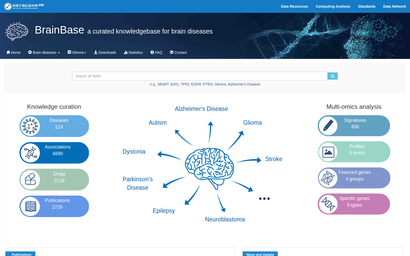 BrainBase 数据集图片