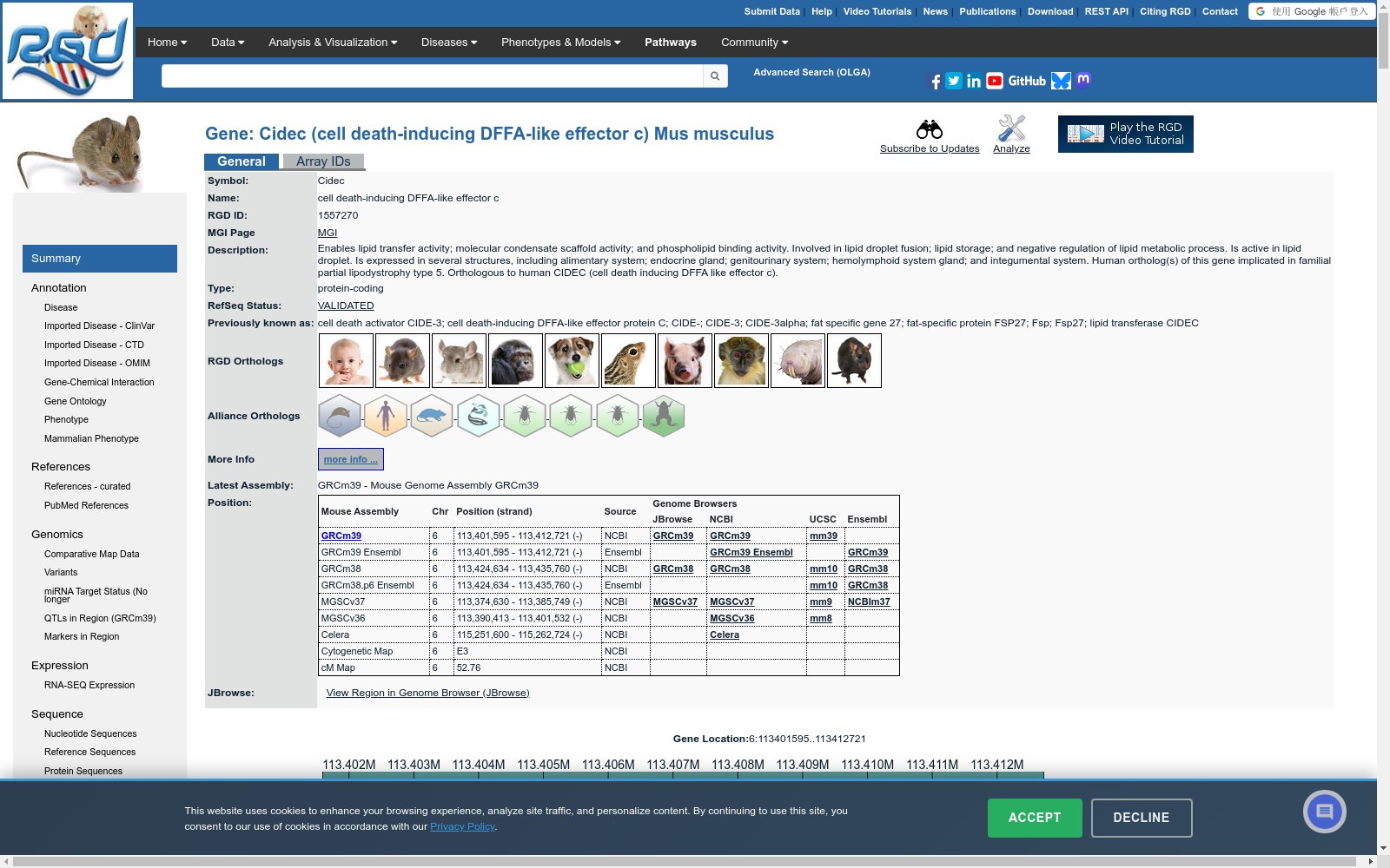 main_image_url