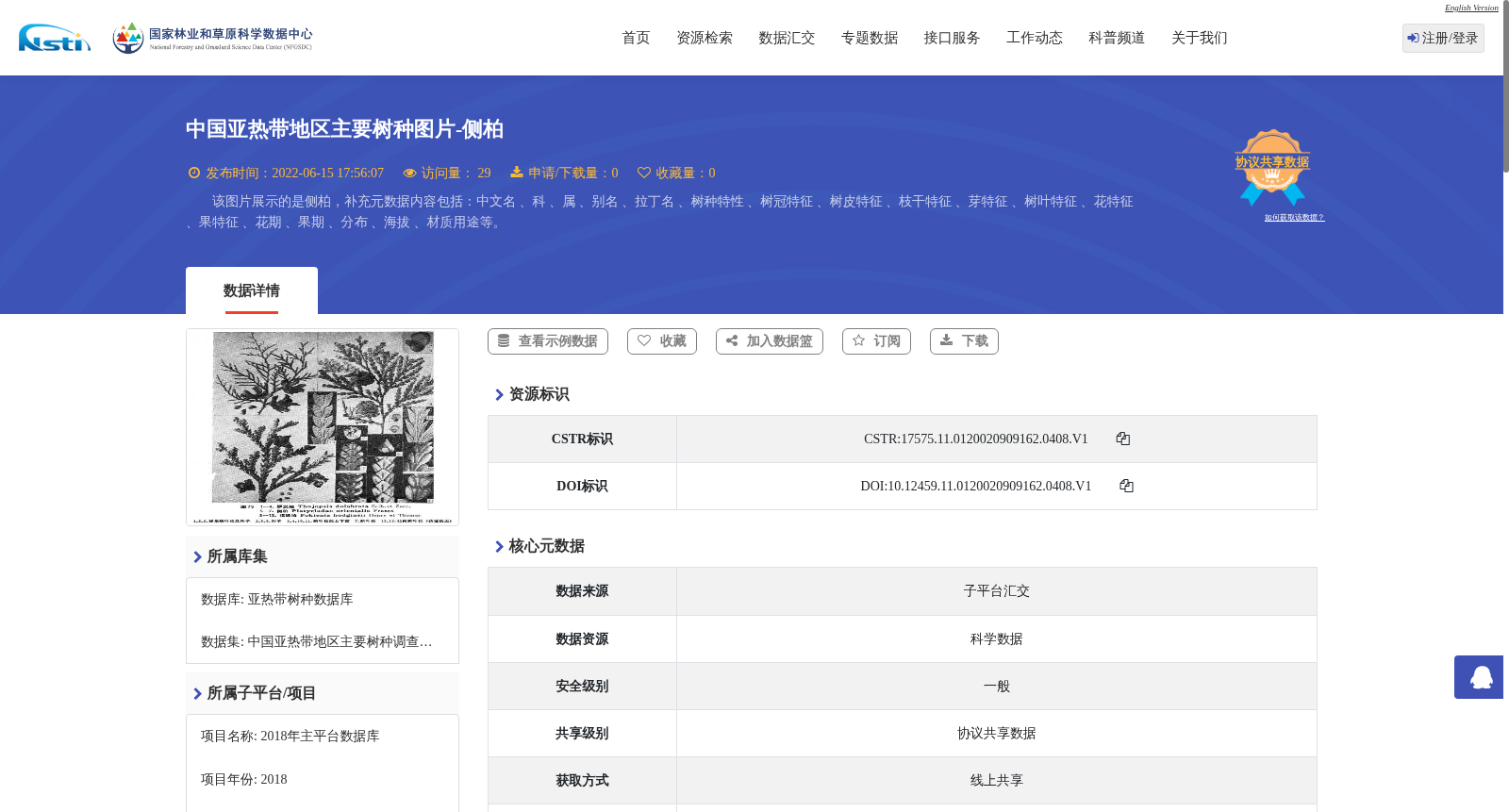 main_image_url