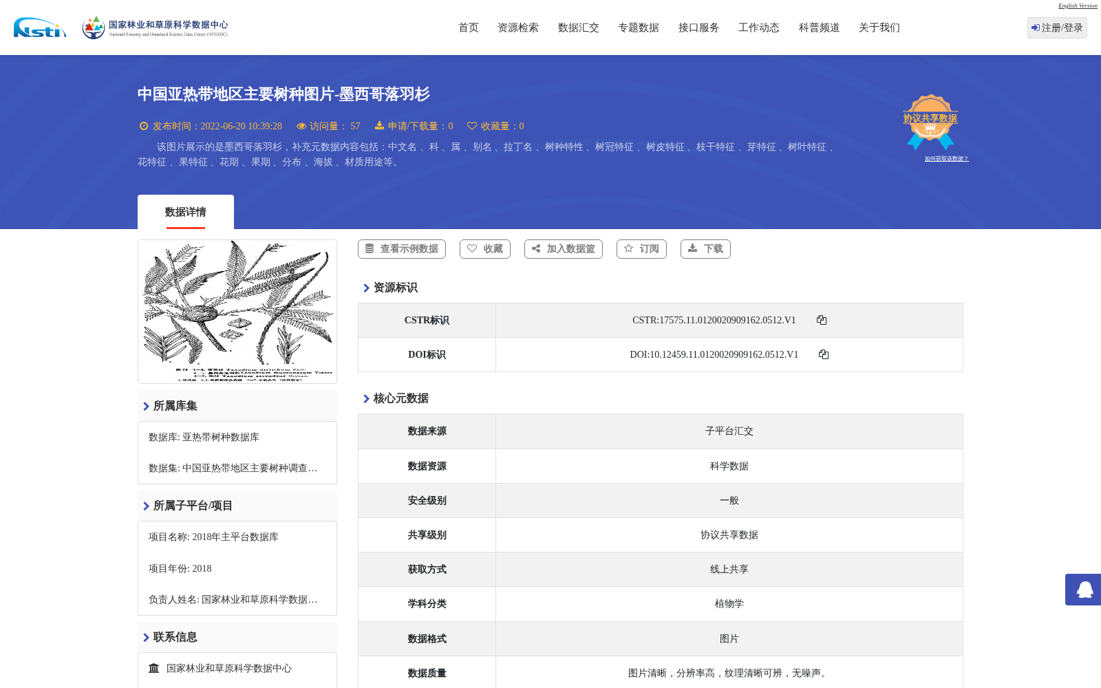 main_image_url
