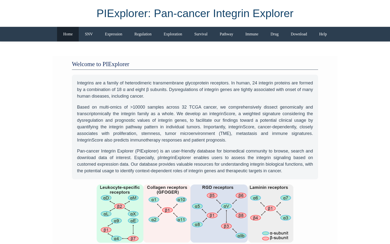 PIExplorer 数据集图片