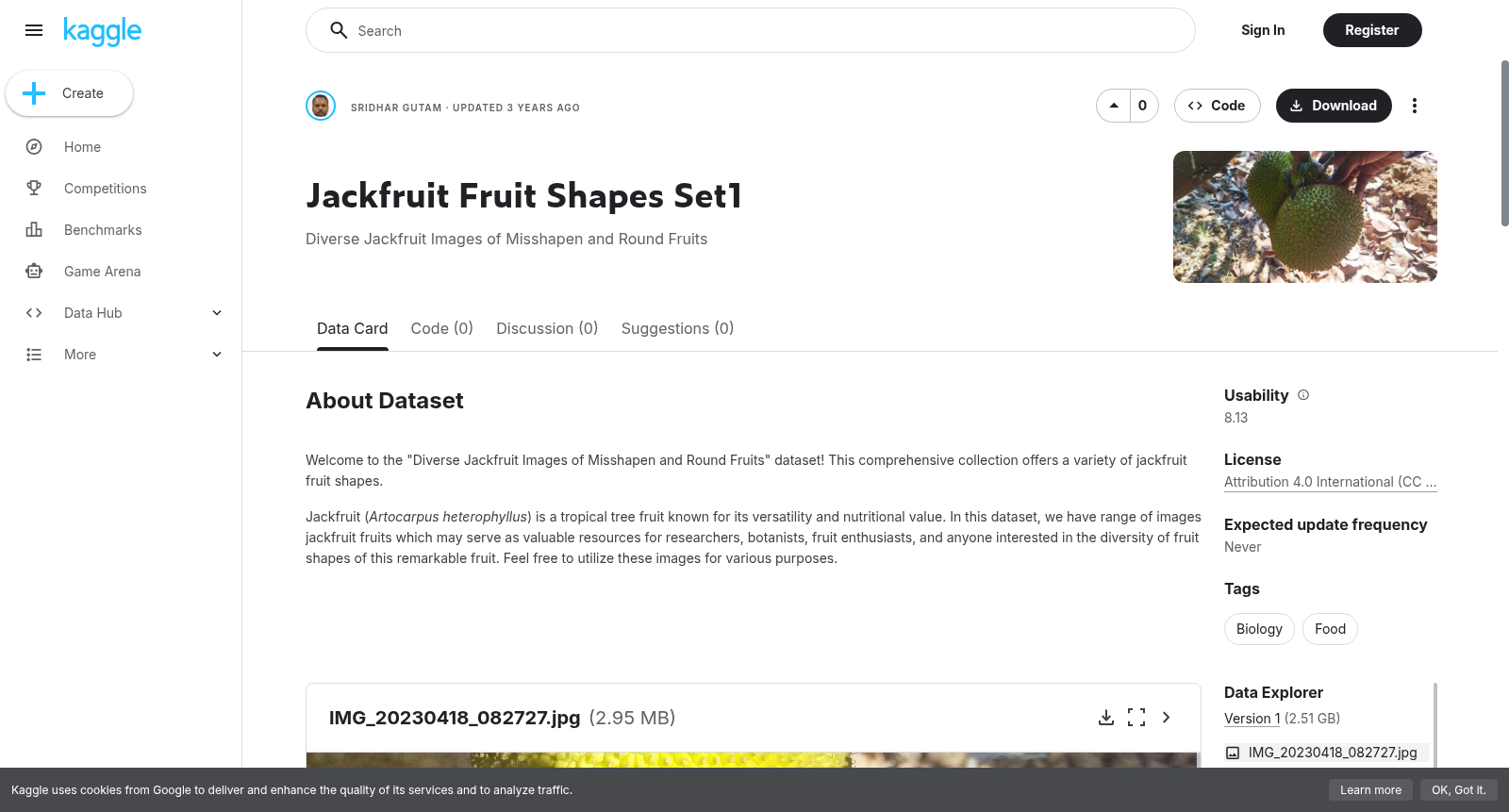 Jackfruit Fruit Shapes Set1 数据集图片