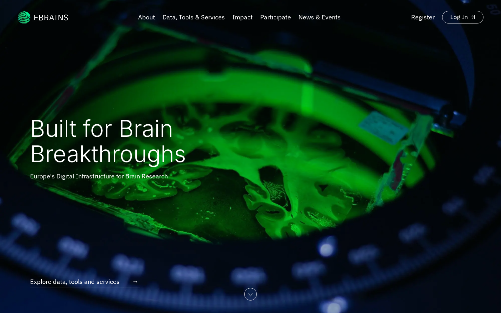 EBRAINS 数据集图片
