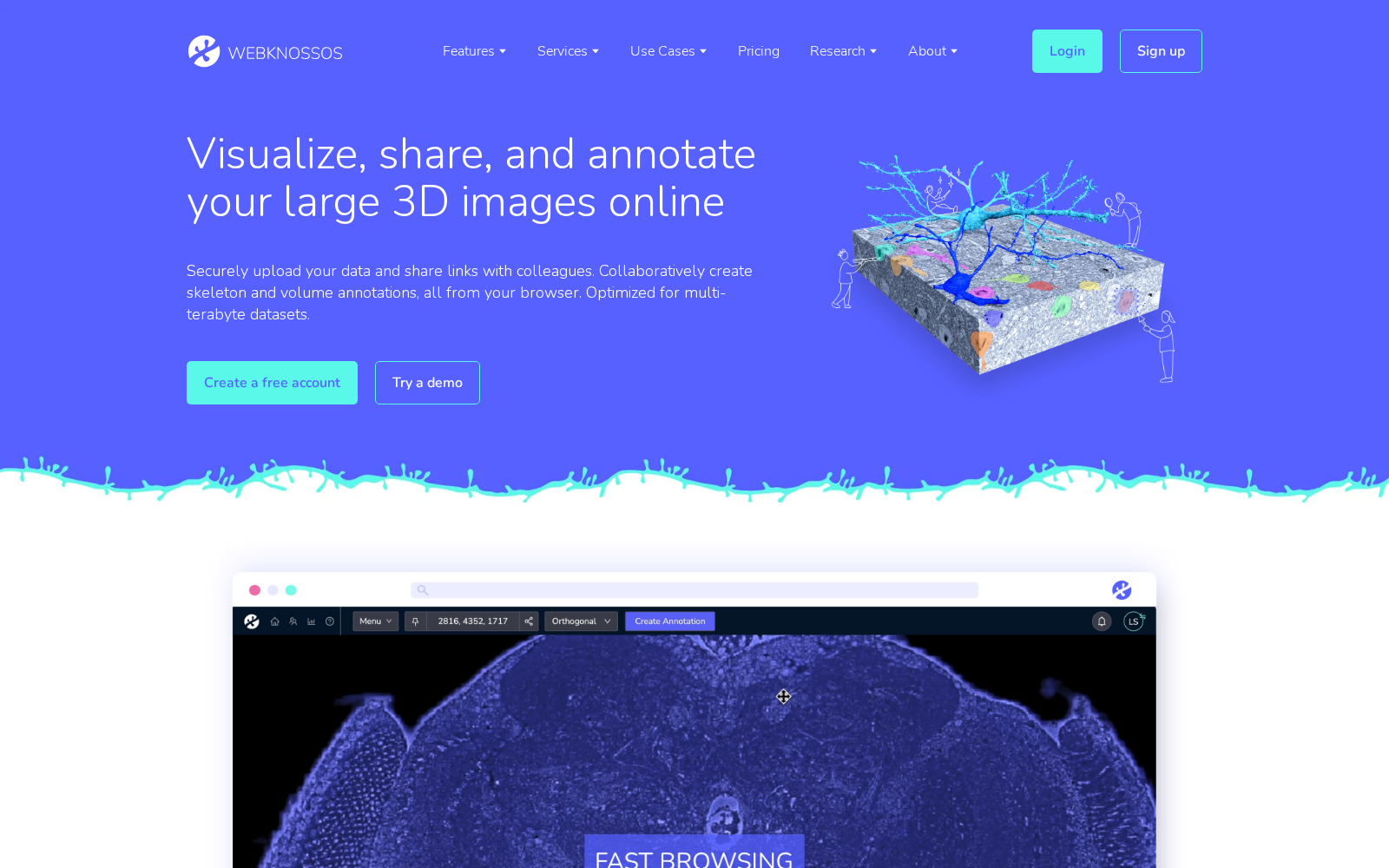 webKnossos 数据集图片