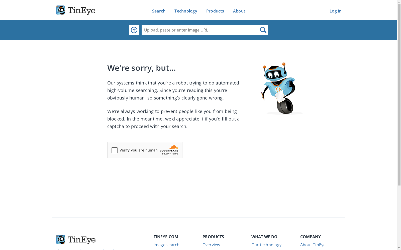 main_image_url
