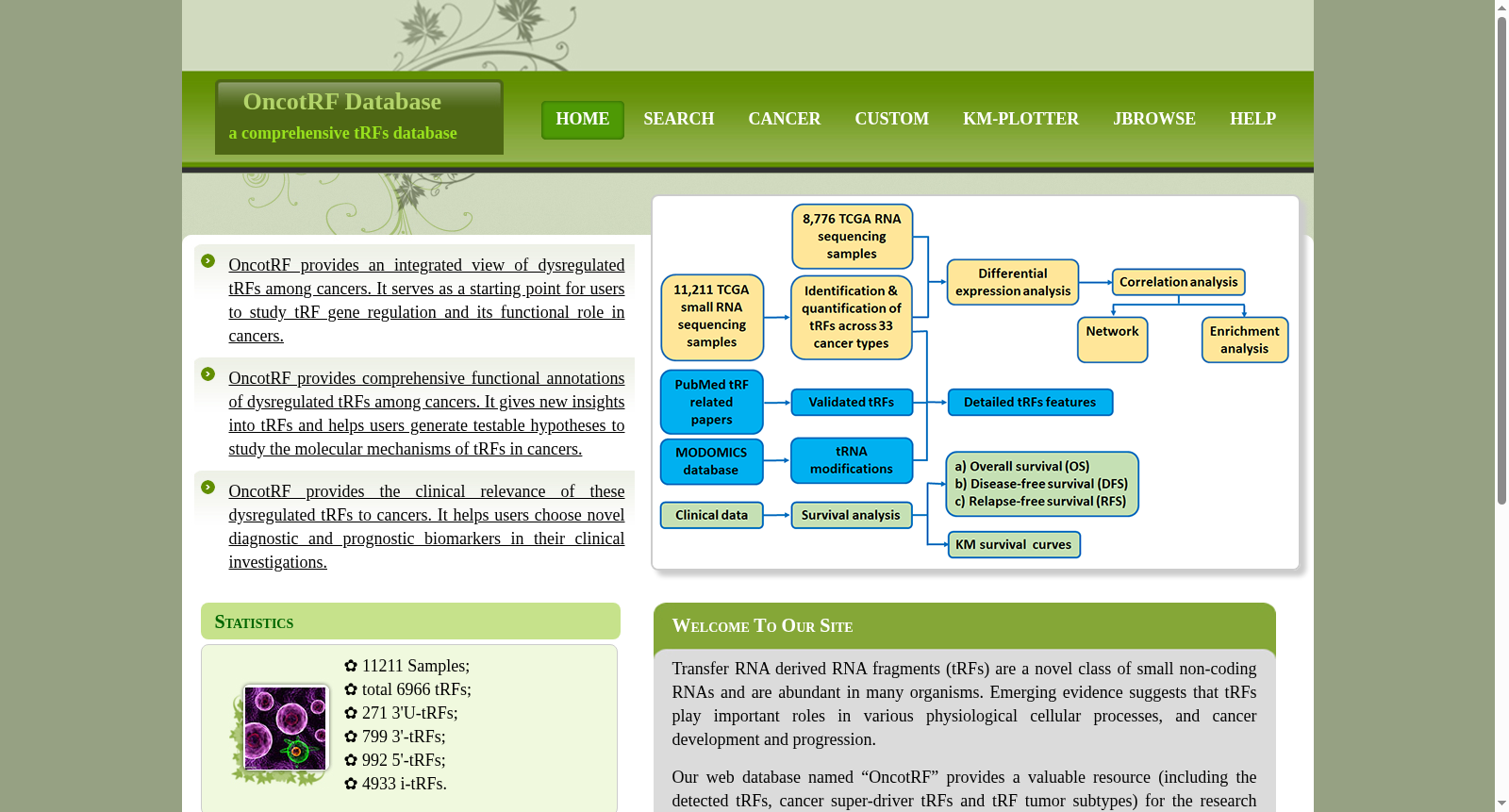 main_image_url