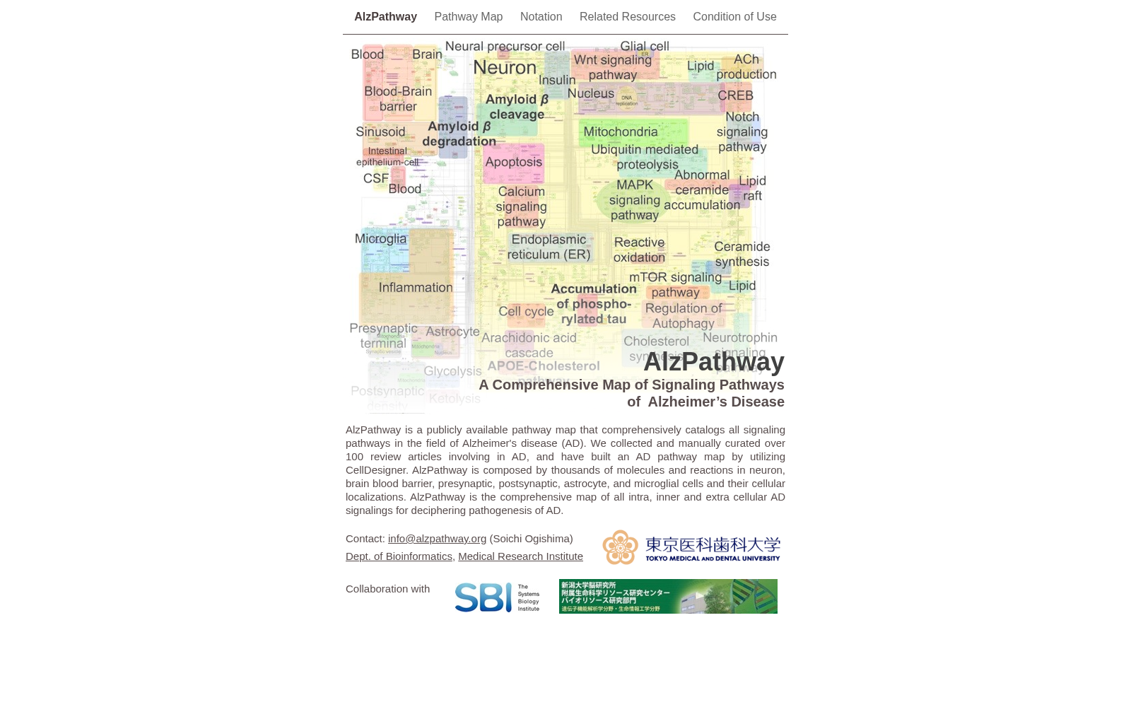 AlzPathway 数据集图片