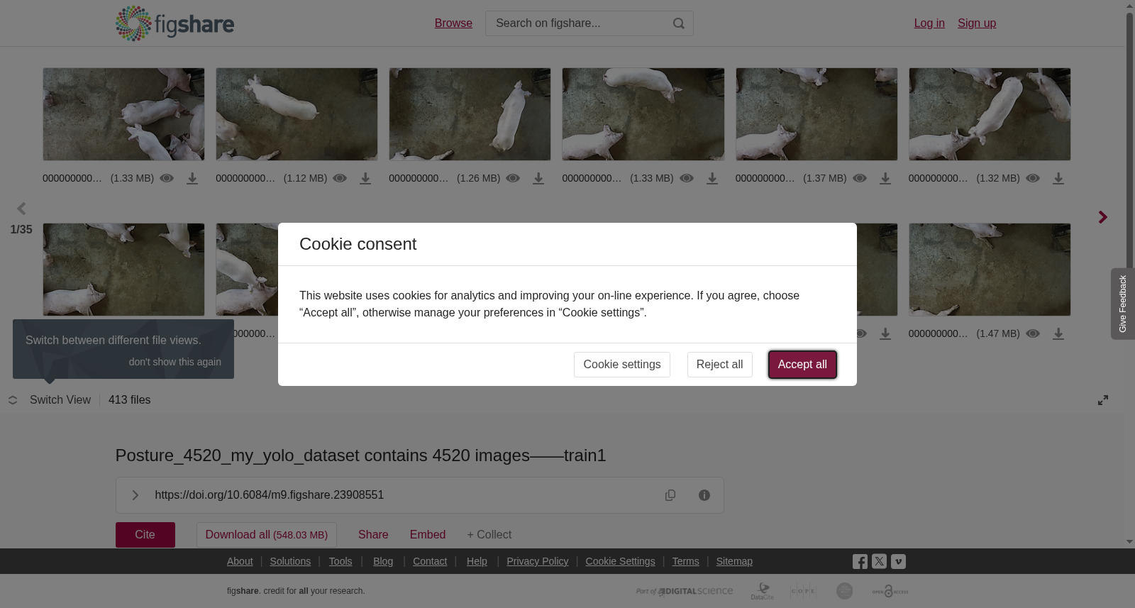 main_image_url