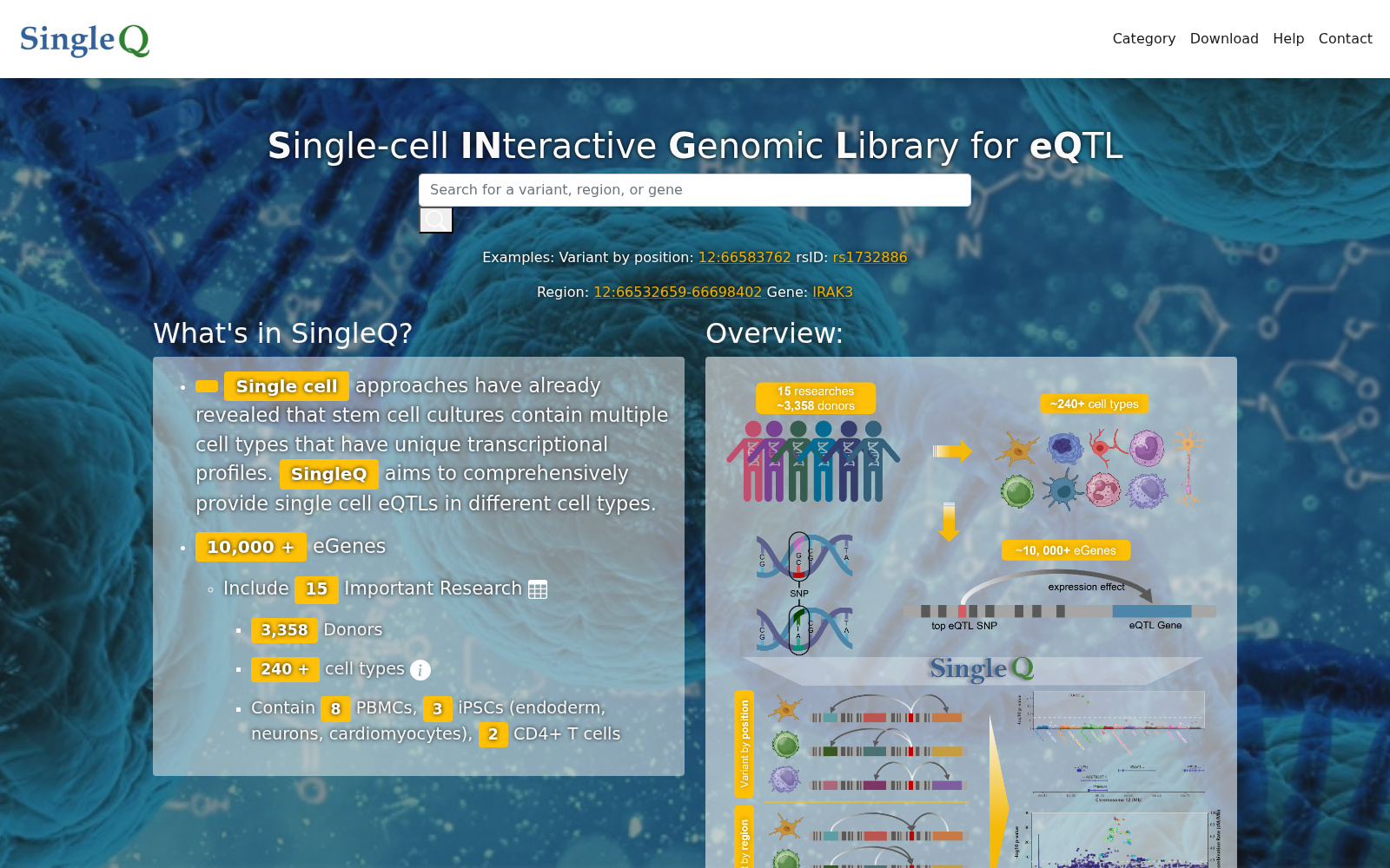 SingleQ 数据集图片