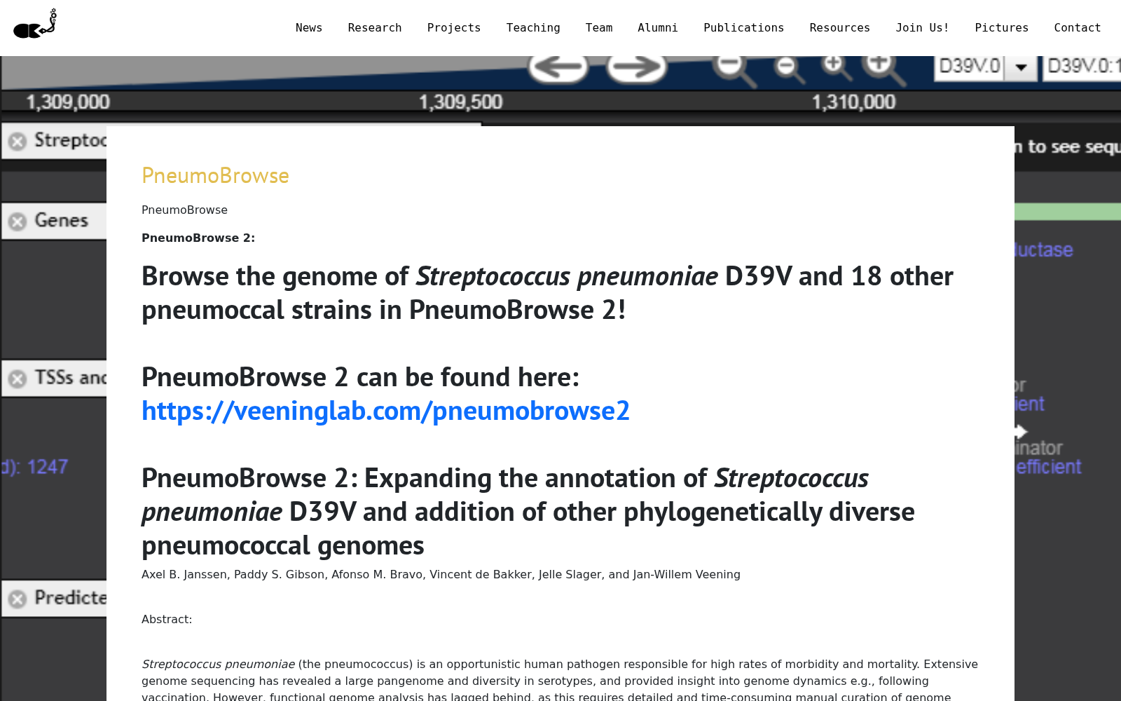 PneumoBrowse 数据集图片