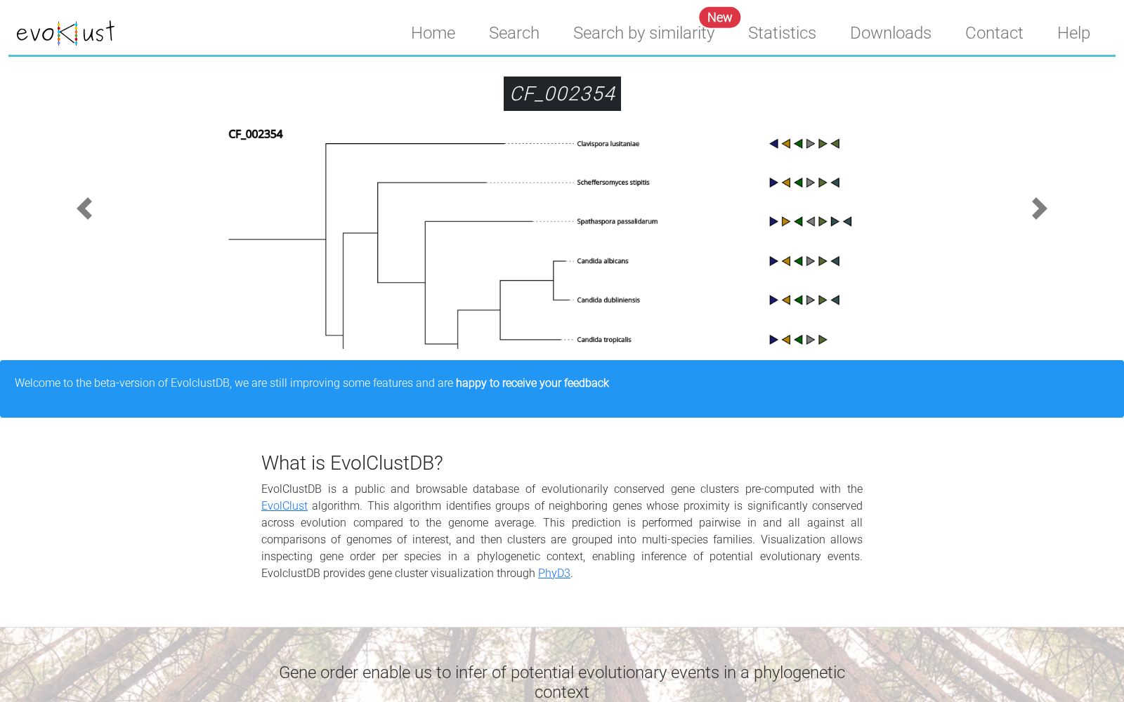 EvolclustDB 数据集图片