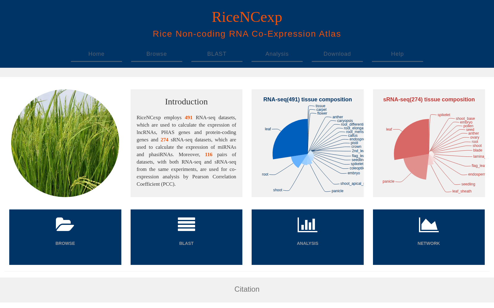 RiceNCexp 数据集图片