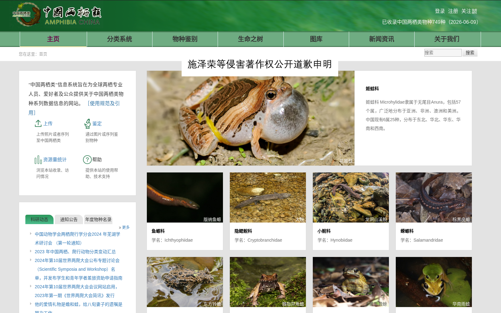 AmphibiaChina 数据集图片