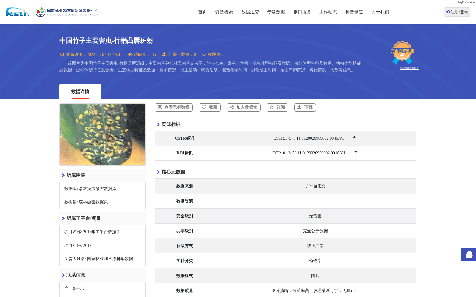 main_image_url