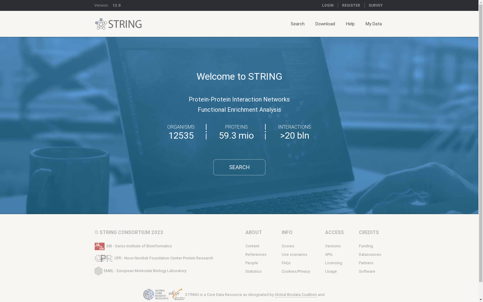 main_image_url