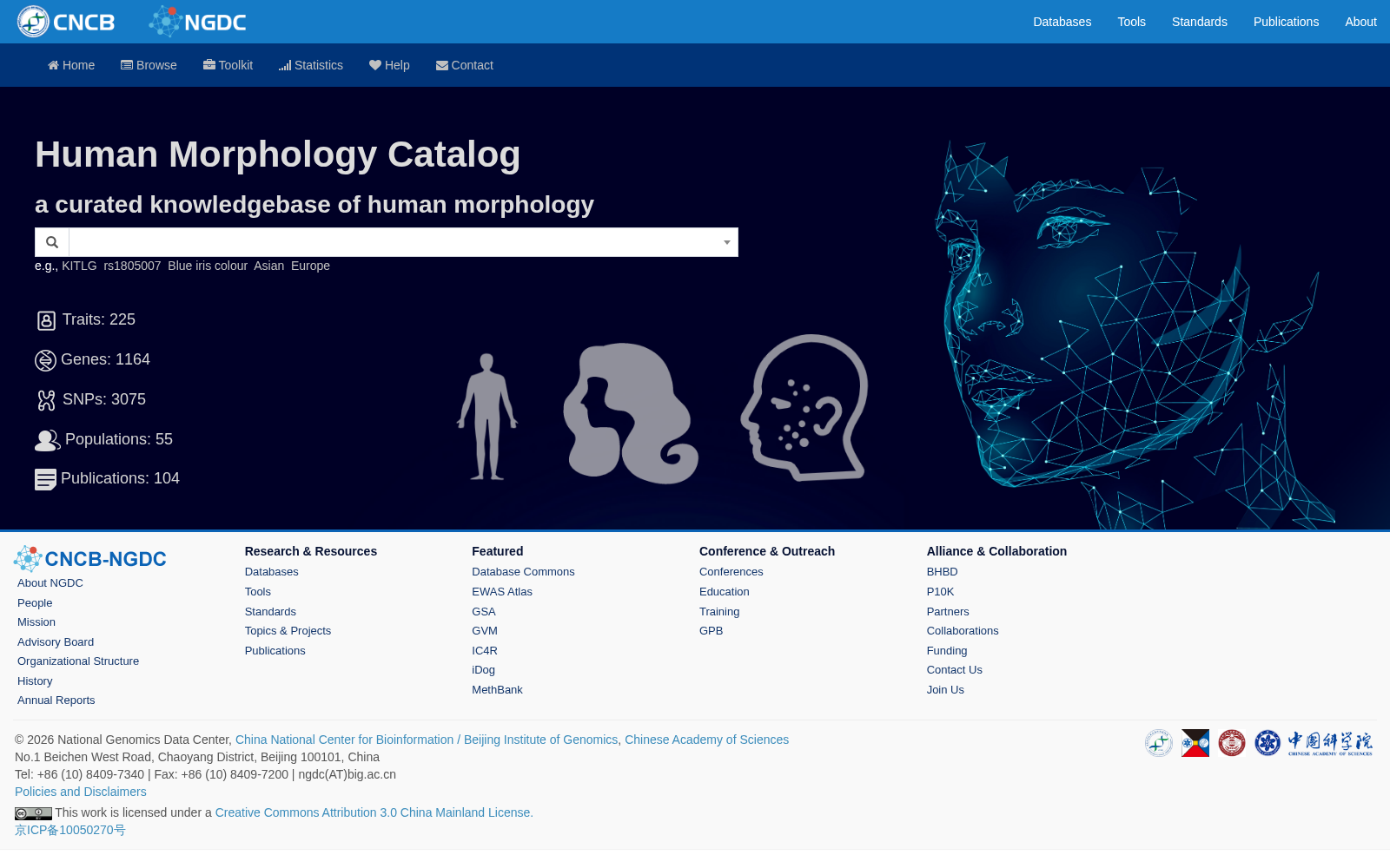 Human Morphology Catalog 数据集图片
