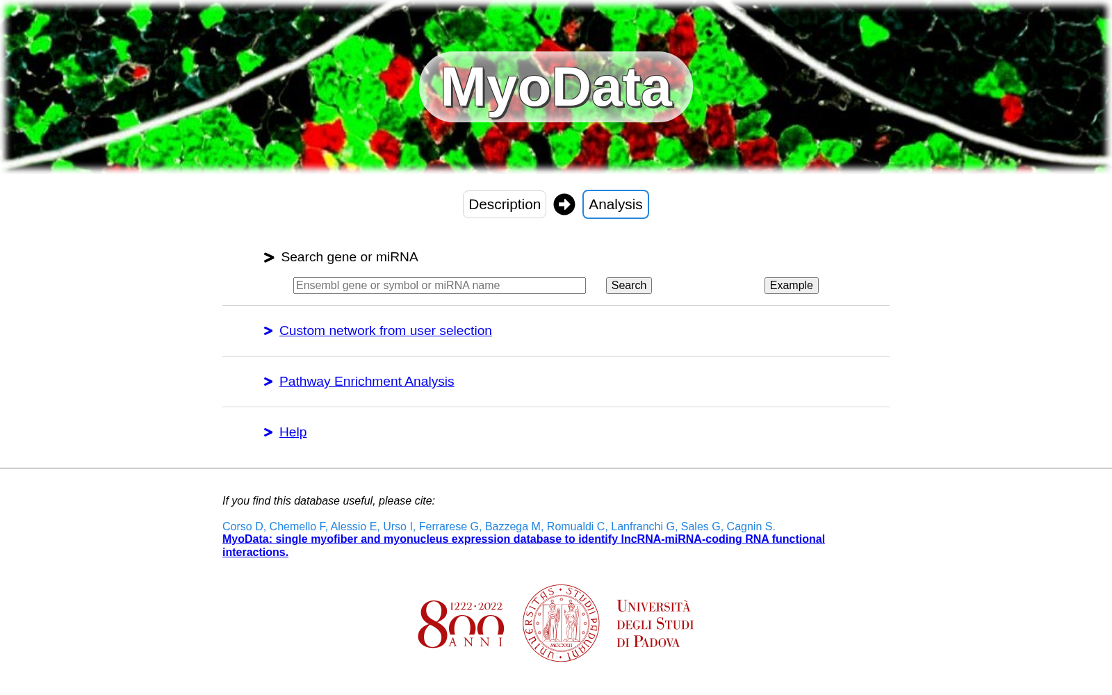 MyoData DB 数据集图片
