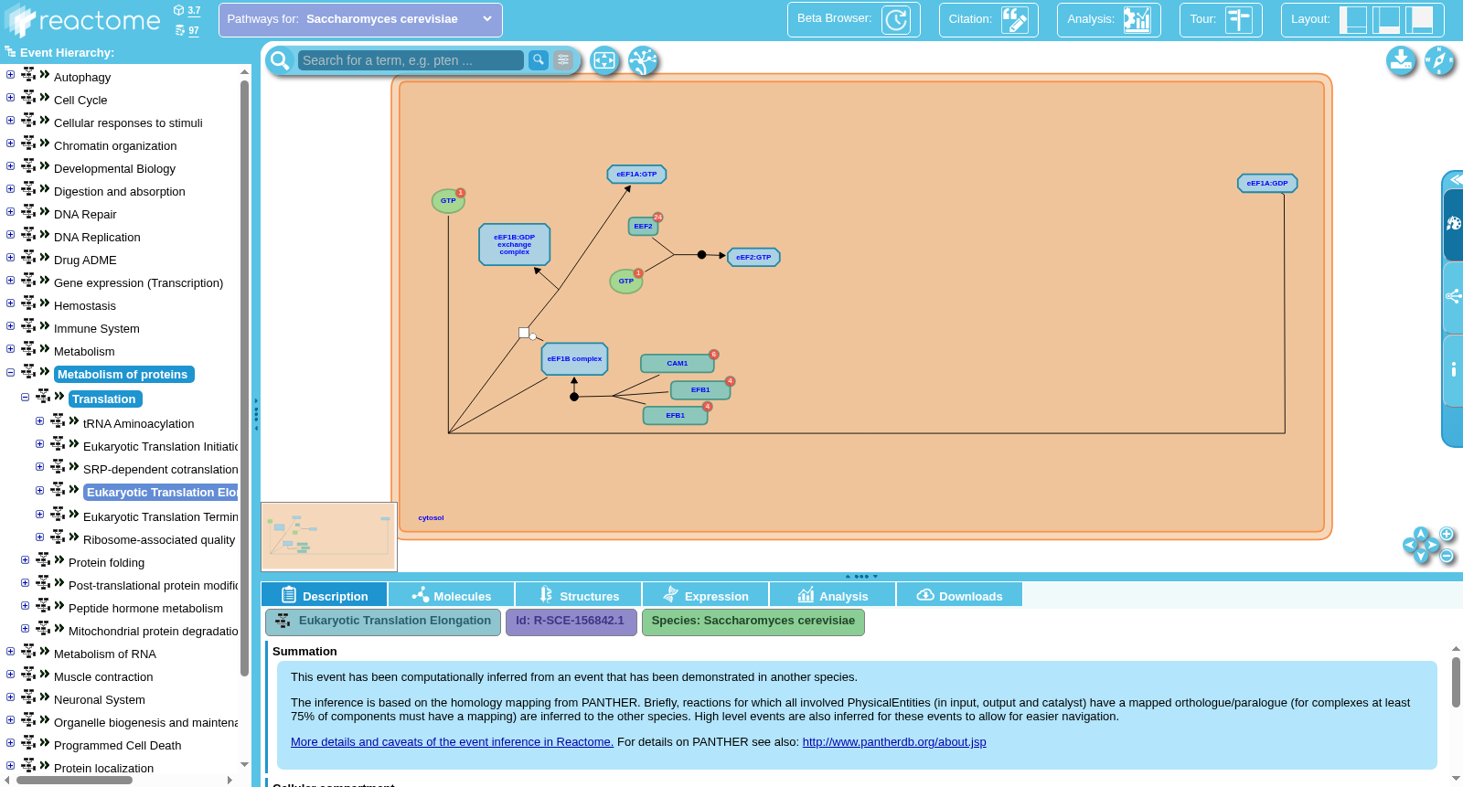 Eukaryotic Translation Elongation 数据集图片