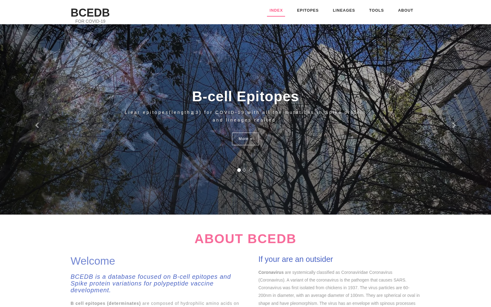 BCEDB 数据集图片