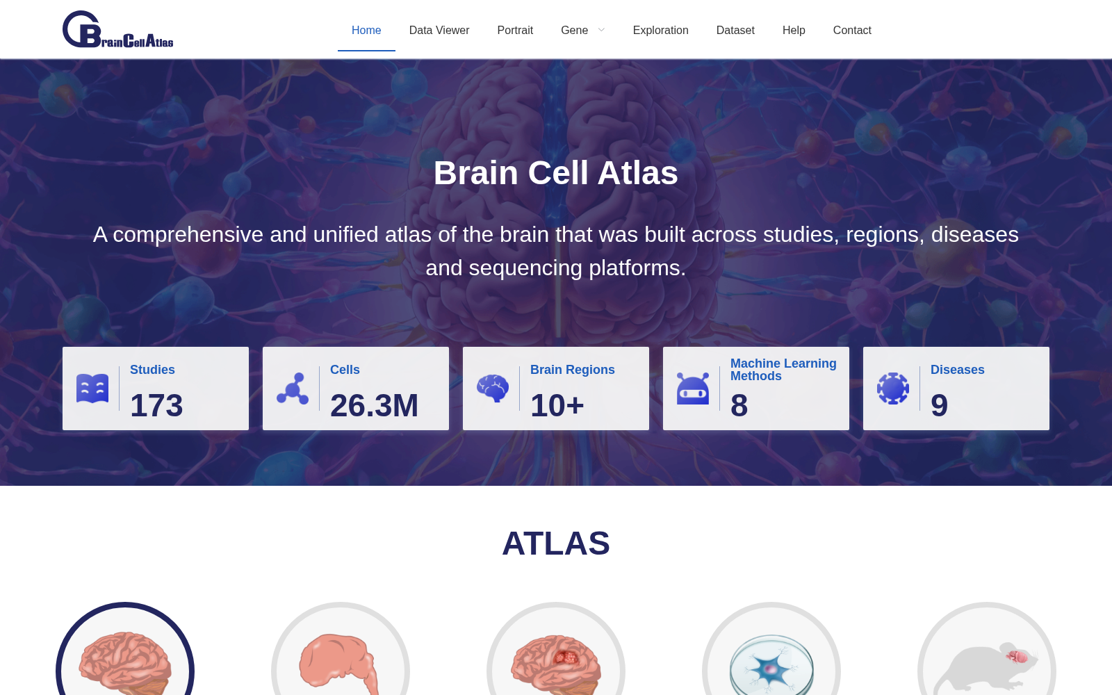 Brain Cell Atlas 数据集图片