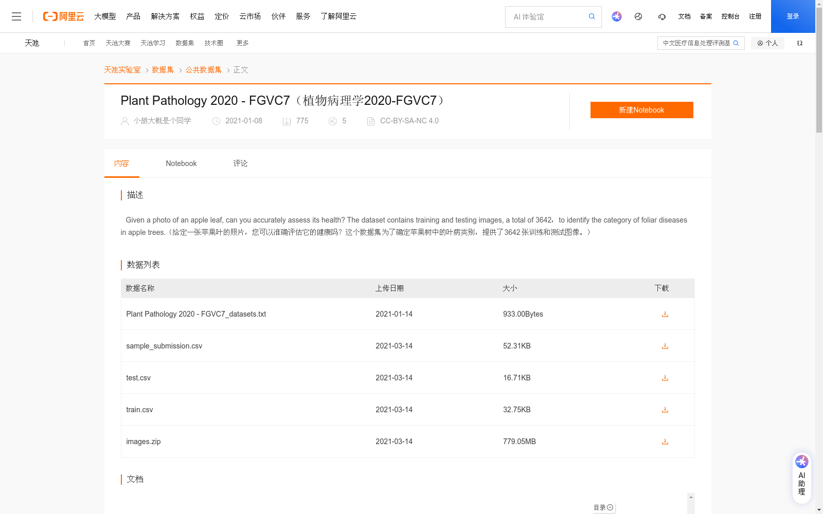 main_image_url