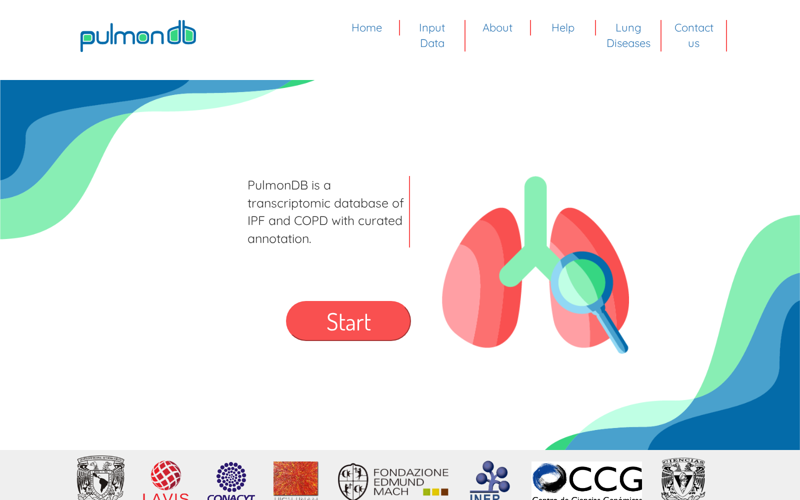 PulmonDB 数据集图片