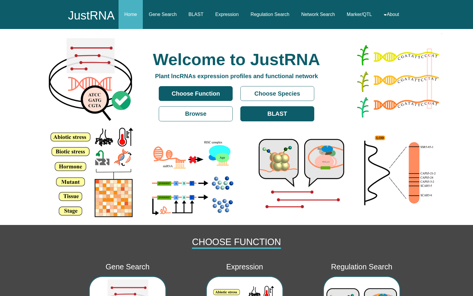 JustRNA 数据集图片