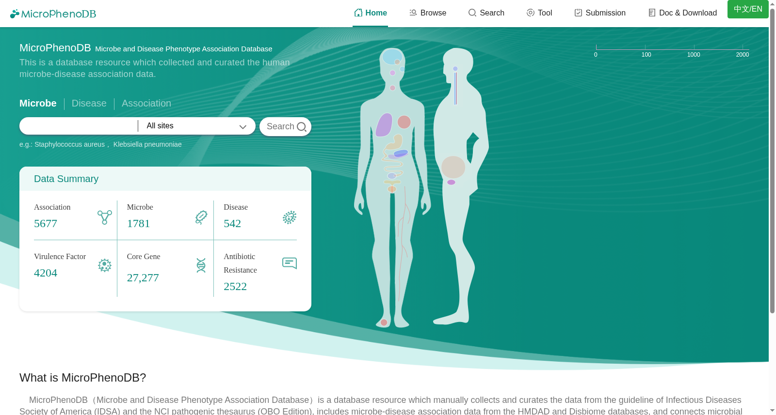 main_image_url